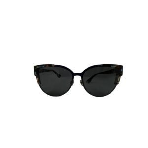 Dior Blue/Brown P7NE5 Wildly Dior Sunglasses